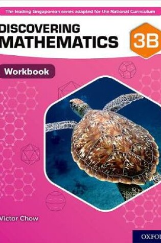 Cover of Workbook 3B (Pack of 10)