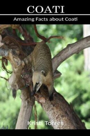 Cover of Amazing Facts about Coati