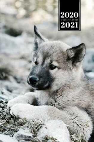 Cover of Wolf Wolves Week Planner Weekly Organizer Calendar 2020 / 2021 - Cute Baby