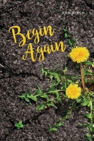 Cover of Begin Again