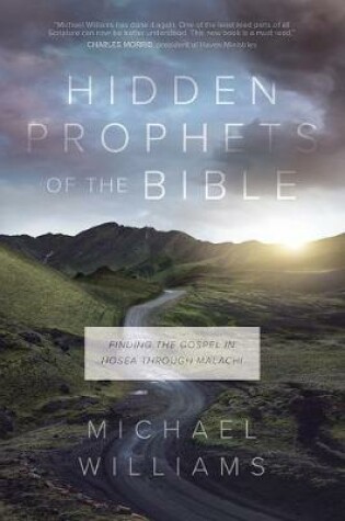 Cover of Hidden Prophets of the Bible