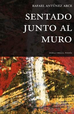 Book cover for Sentado junto al muro