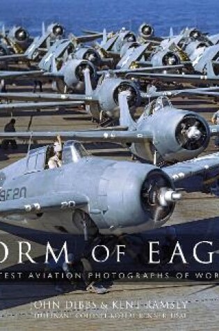 Cover of Storm of Eagles