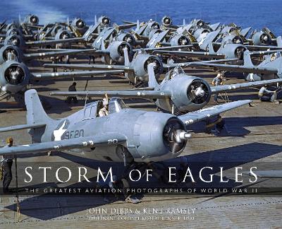 Book cover for Storm of Eagles