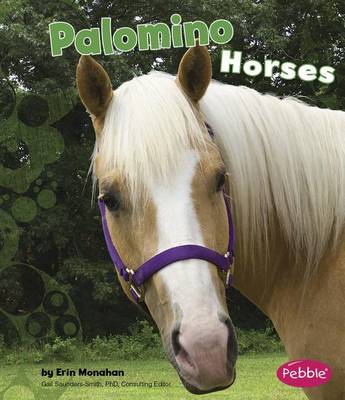 Book cover for Palomino Horses