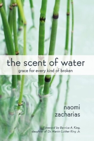 Cover of The Scent of Water