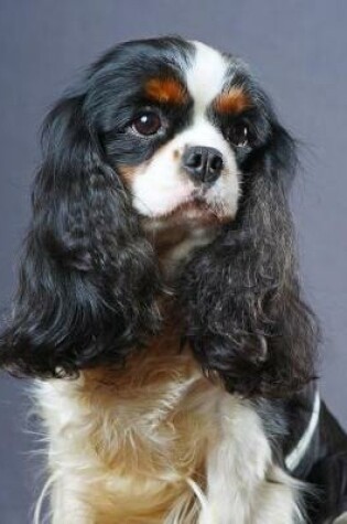 Cover of Cavalier King Charles Spaniel Notebook