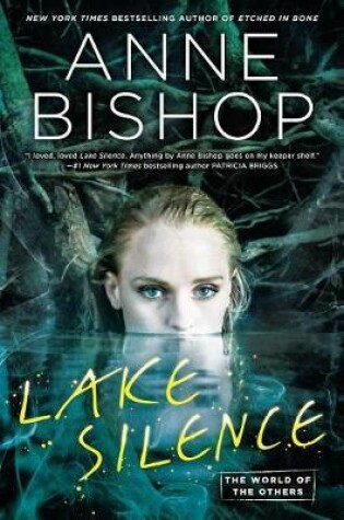 Cover of Lake Silence
