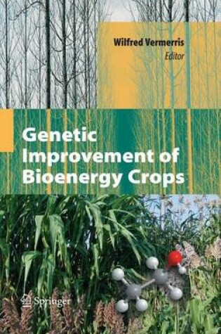 Cover of Genetic Improvement of Bioenergy Crops