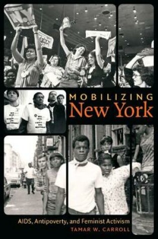 Cover of Mobilizing New York