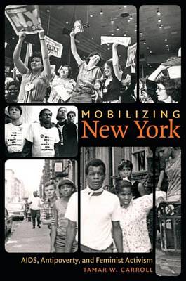 Book cover for Mobilizing New York