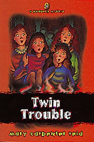 Cover of Twin Trouble