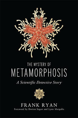 Book cover for The Mystery of Metamorphosis