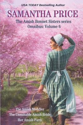 Book cover for The Amish Bonnet Sisters series Omnibus