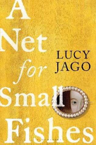 Cover of A Net for Small Fishes