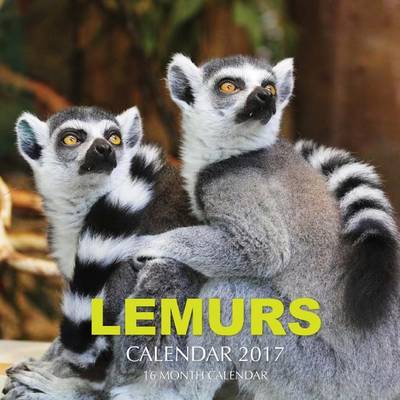 Book cover for Lemurs Calendar 2017