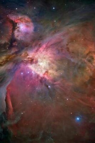 Cover of A Spectacular View of the Orion Nebula Outer Space