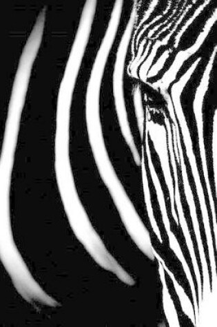 Cover of An Imperial Zebra Close-Up Portrait Journal