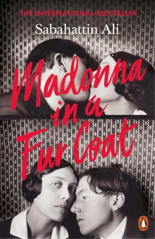 Book cover for Madonna in a Fur Coat