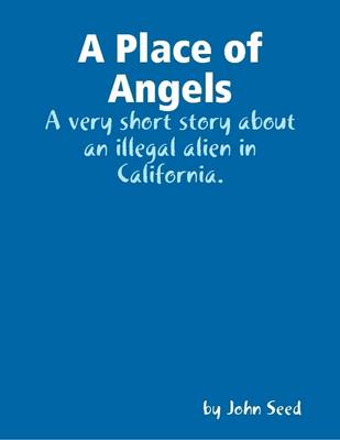 Book cover for A Place of Angels: A Very Short Story About an Illegal Alien in California