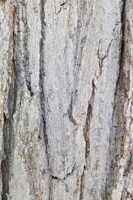 Cover of Journal Old Oak Tree Rough Bark