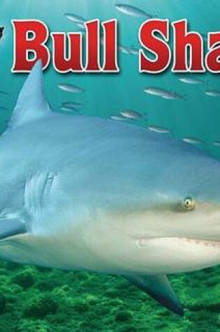 Cover of Bull Shark