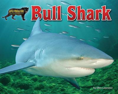 Book cover for Bull Shark