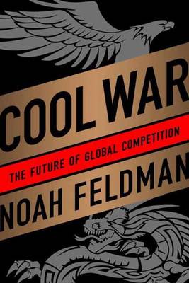 Book cover for Cool War