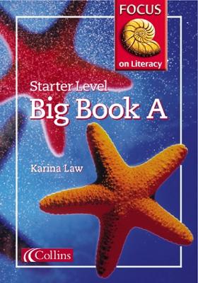 Cover of Starter Level Big Book A