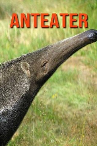 Cover of Anteater