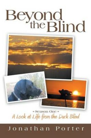 Cover of Beyond the Blind