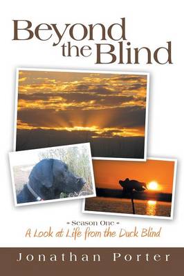 Book cover for Beyond the Blind