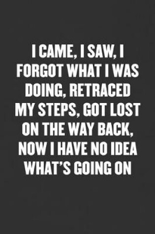 Cover of I Came, I Saw, I Forgot What I Was Doing, Retraced My Steps, Got Lost on the Way Back, Now I Have No Idea What's Going on