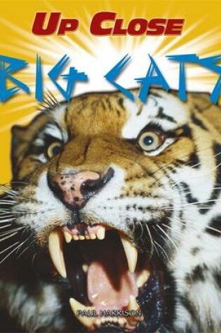 Cover of Big Cats