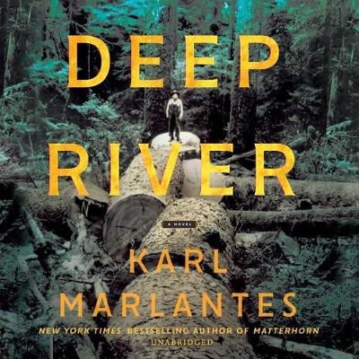 Book cover for Deep River