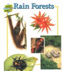 Book cover for Rain Forests Sb-What about
