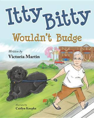 Book cover for Itty Bitty Wouldnt Budge