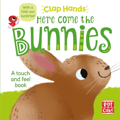 Book cover for Clap Hands: Here Come the Bunnies