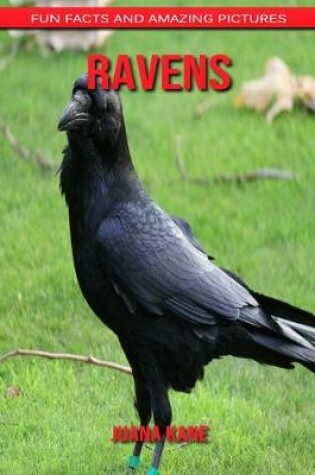 Cover of Ravens