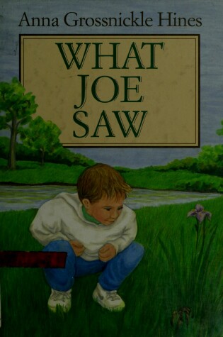 Cover of What Joe Saw