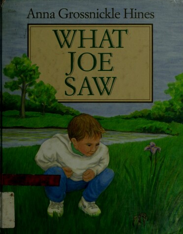 Book cover for What Joe Saw