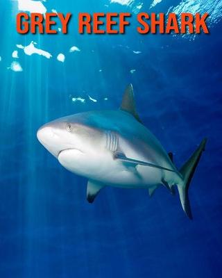 Book cover for Grey Reef Shark