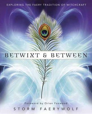 Book cover for Betwixt and Between