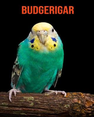 Book cover for Budgerigar