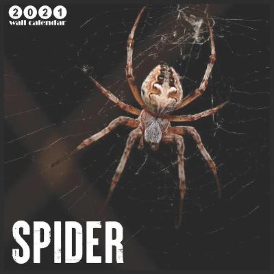 Book cover for Spider 2021 Wall Calendar