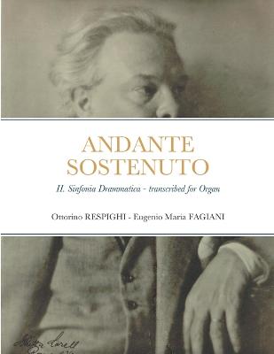 Book cover for Andante sostenuto