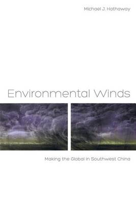 Book cover for Environmental Winds