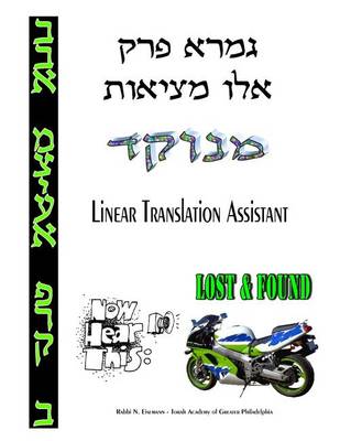 Cover of Ailu Metzios - Linear Translation Assistant