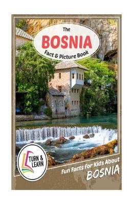 Book cover for The Bosnia Fact and Picture Book