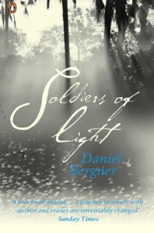 Cover of Soldiers of Light